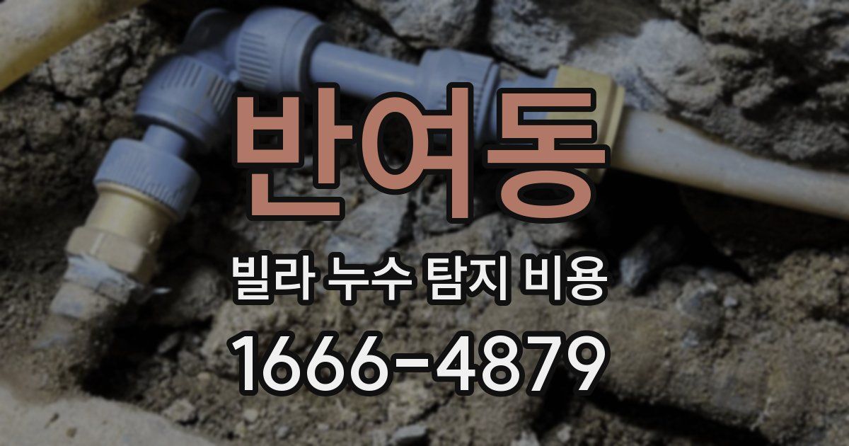 반여동 빌라 누수 탐지 비용
