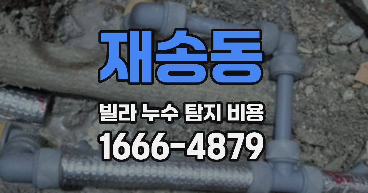 재송동 빌라 누수 탐지 비용
