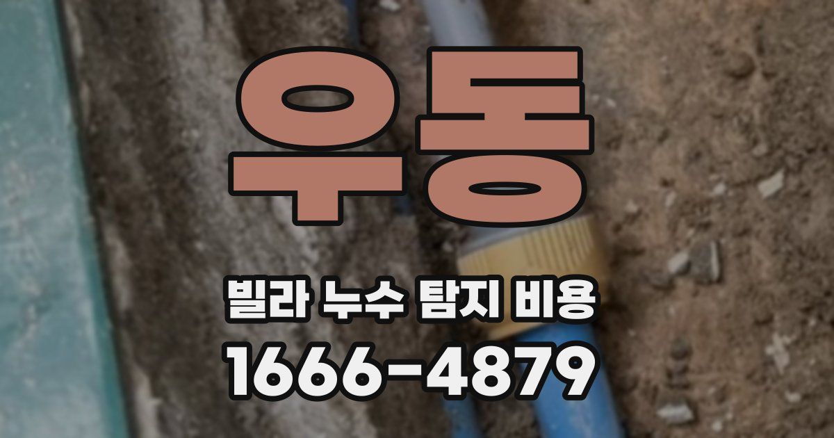 우동 빌라 누수 탐지 비용