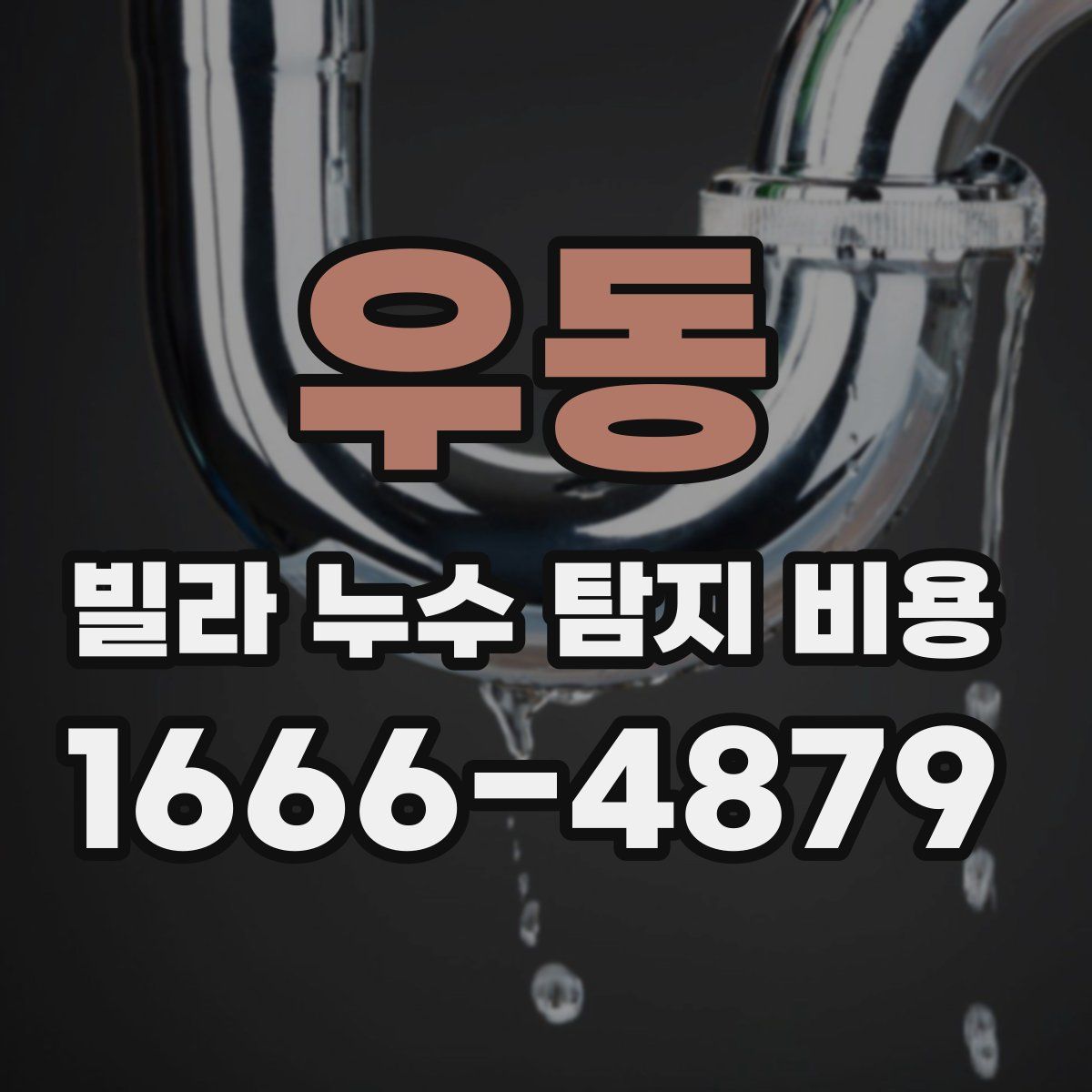 우동 빌라 누수 탐지 비용