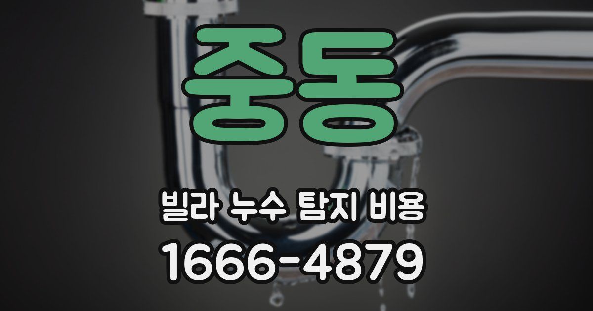 중동 빌라 누수 탐지 비용