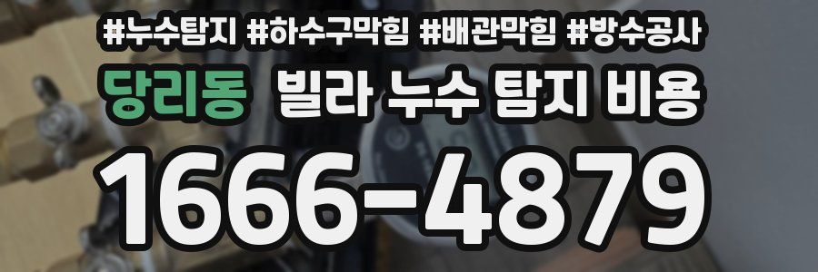 당리동 빌라 누수 탐지 비용