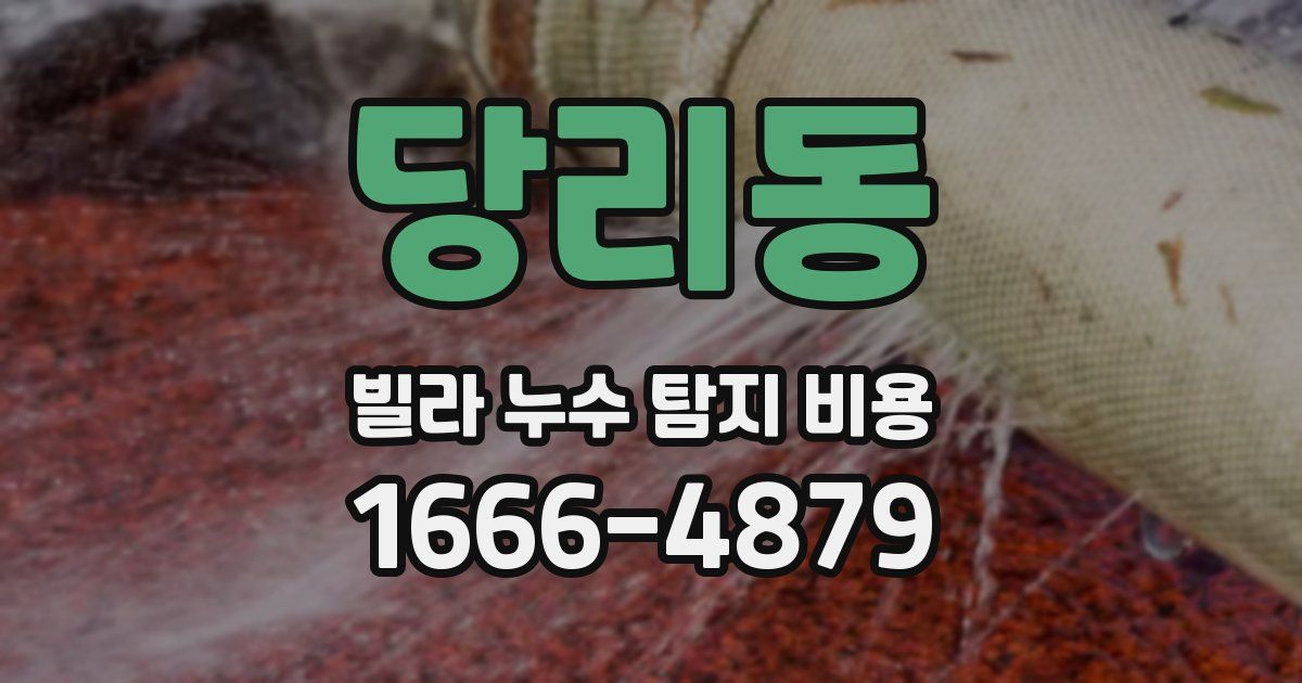 당리동 빌라 누수 탐지 비용