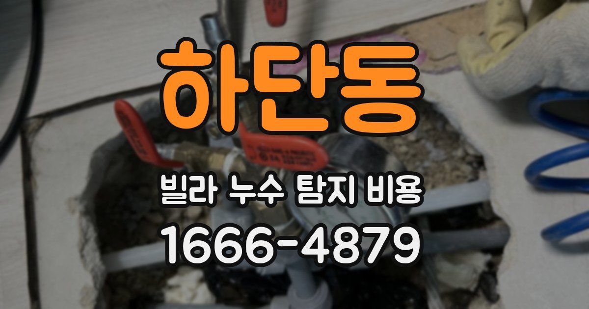 하단동 빌라 누수 탐지 비용