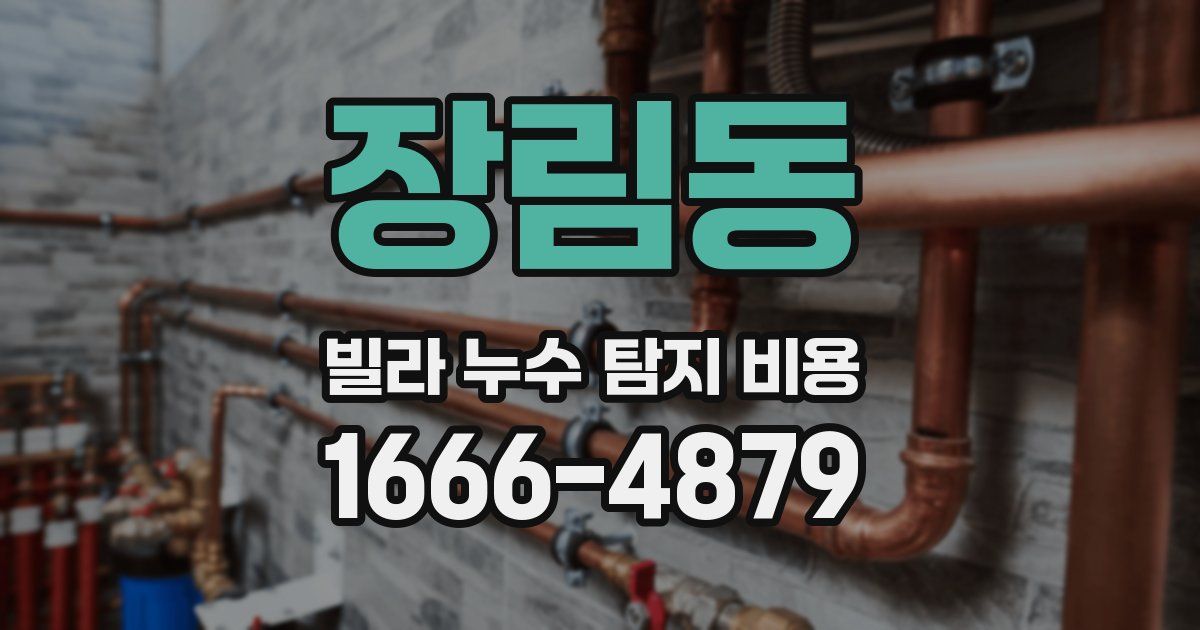 장림동 빌라 누수 탐지 비용