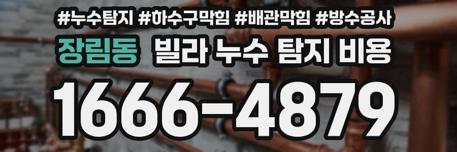 장림동 빌라 누수 탐지 비용