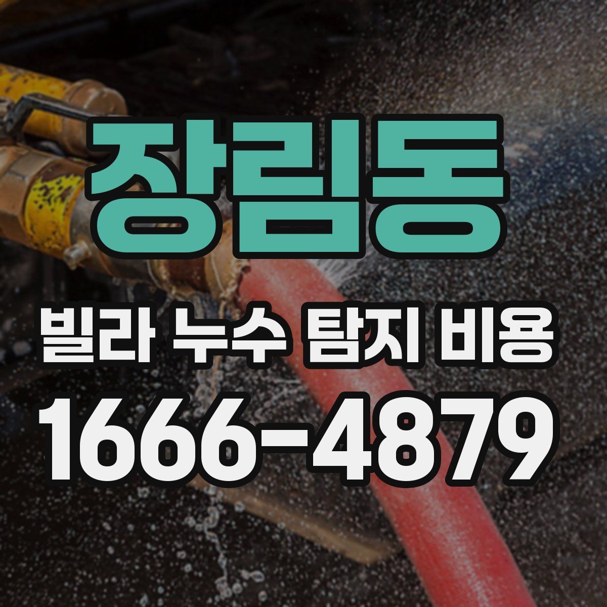 장림동 빌라 누수 탐지 비용