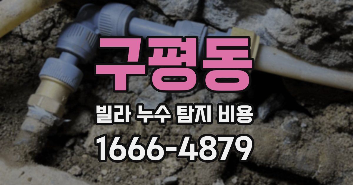 구평동 빌라 누수 탐지 비용