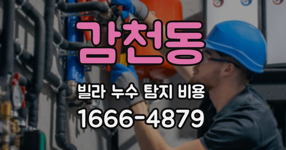 감천동 빌라 누수 탐지 비용