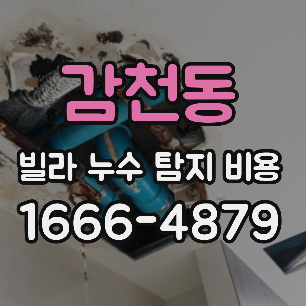 감천동 빌라 누수 탐지 비용