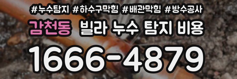 감천동 빌라 누수 탐지 비용