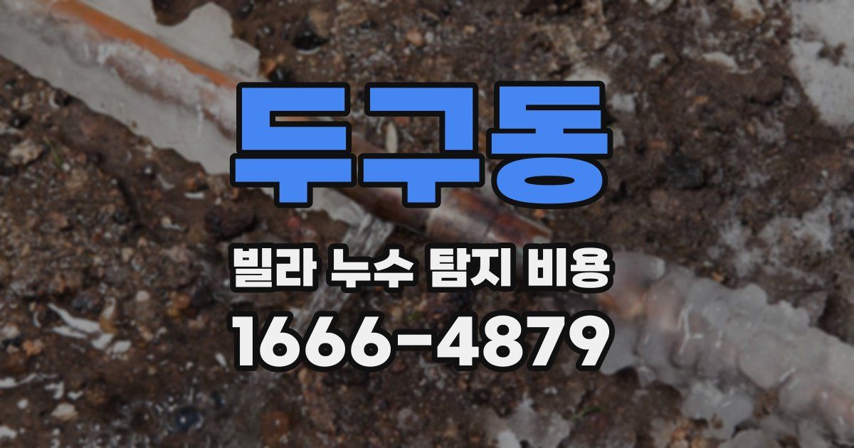두구동 빌라 누수 탐지 비용