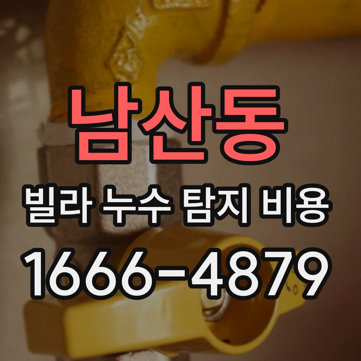 남산동 빌라 누수 탐지 비용