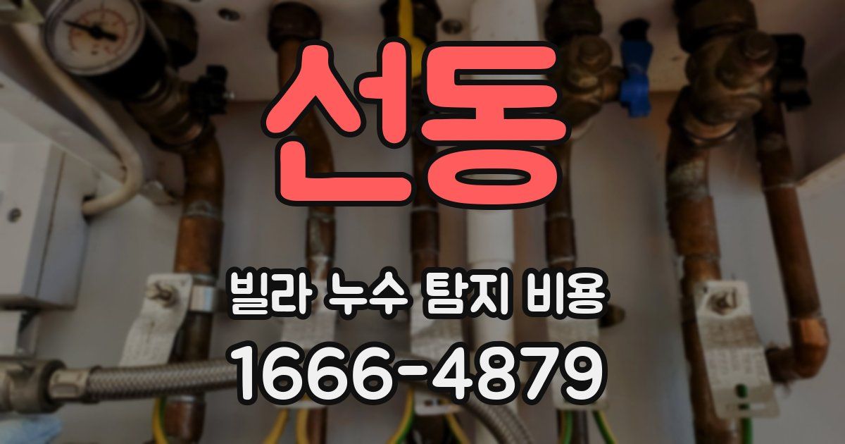 선동 빌라 누수 탐지 비용