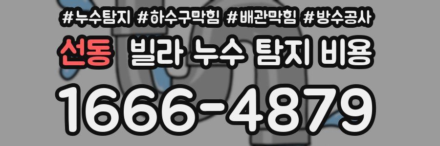 선동 빌라 누수 탐지 비용