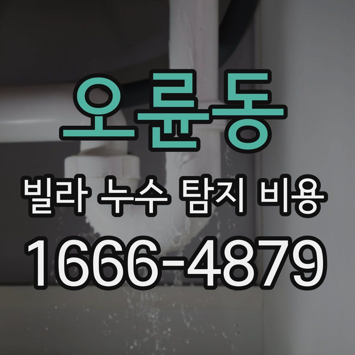 오륜동 빌라 누수 탐지 비용