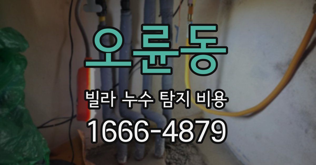 오륜동 빌라 누수 탐지 비용