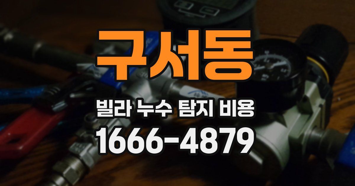 구서동 빌라 누수 탐지 비용