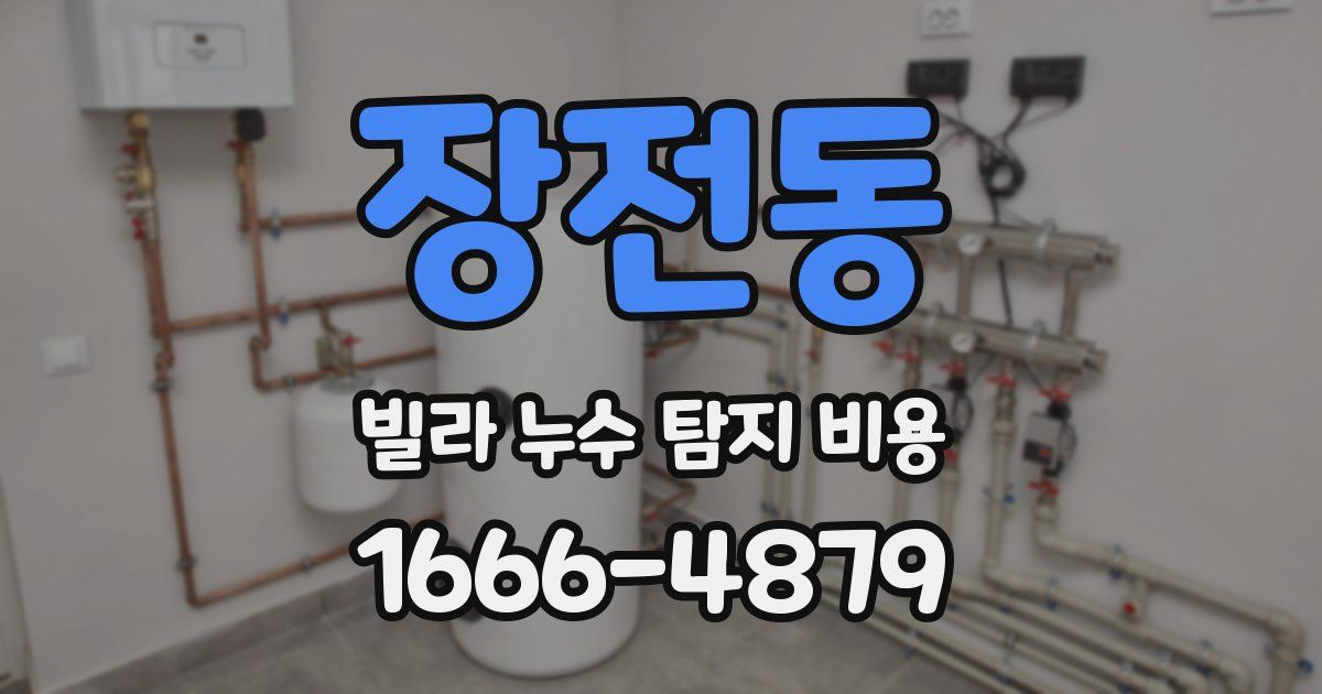 장전동 빌라 누수 탐지 비용