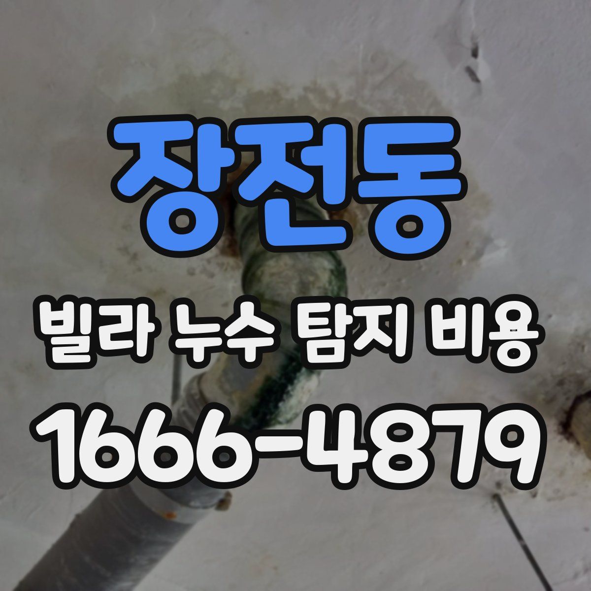 장전동 빌라 누수 탐지 비용