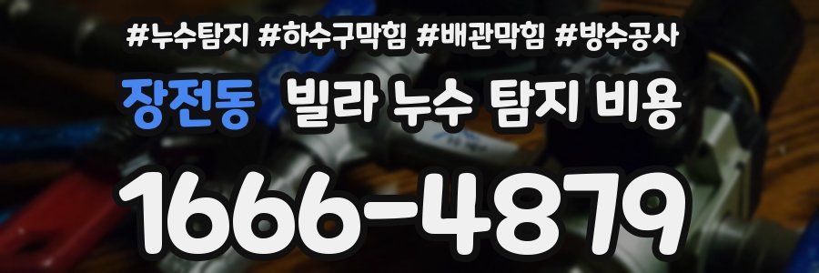 장전동 빌라 누수 탐지 비용