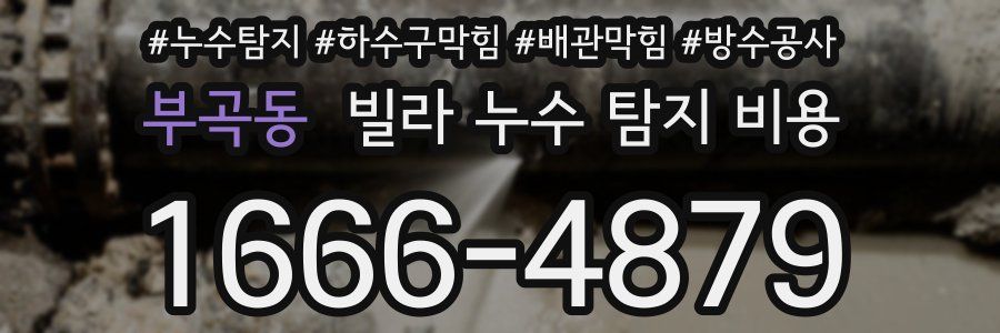 부곡동 빌라 누수 탐지 비용
