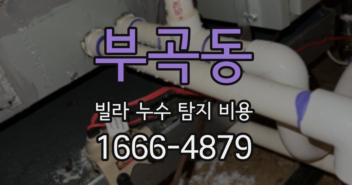 부곡동 빌라 누수 탐지 비용