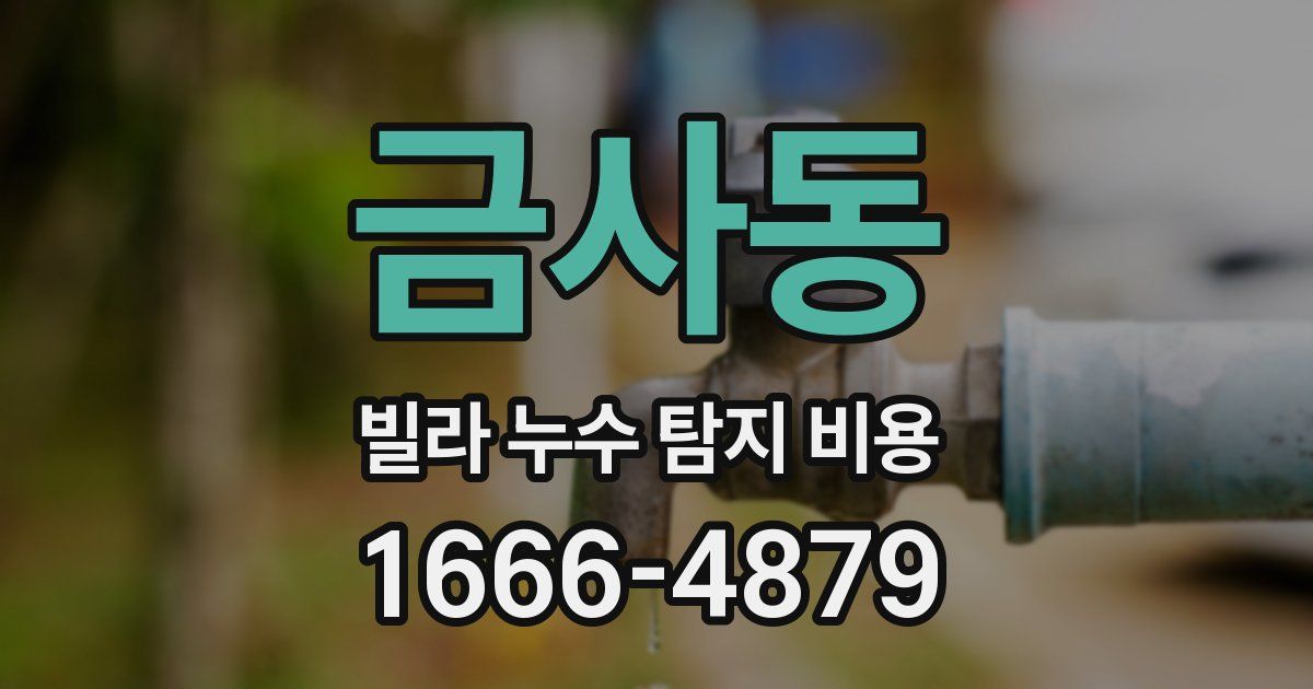 금사동 빌라 누수 탐지 비용