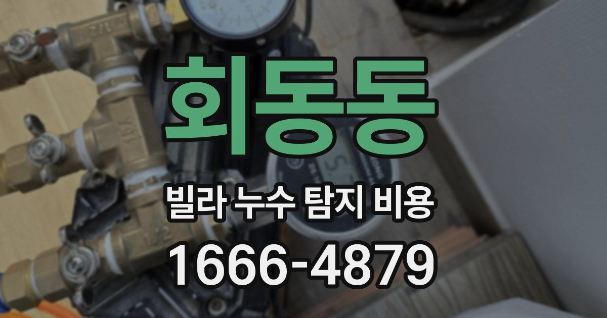 회동동 빌라 누수 탐지 비용