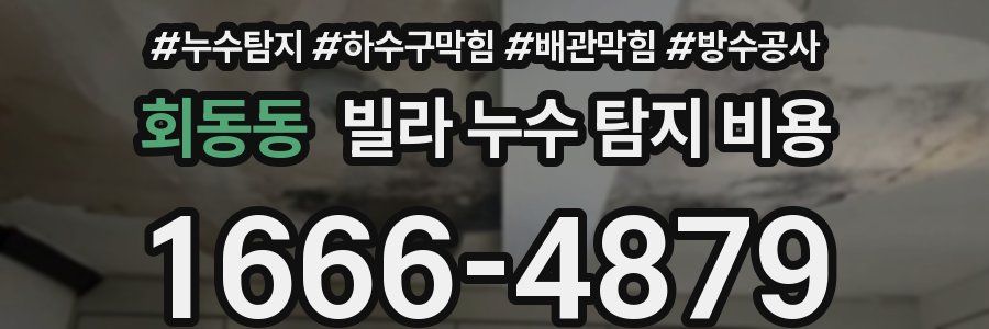 회동동 빌라 누수 탐지 비용