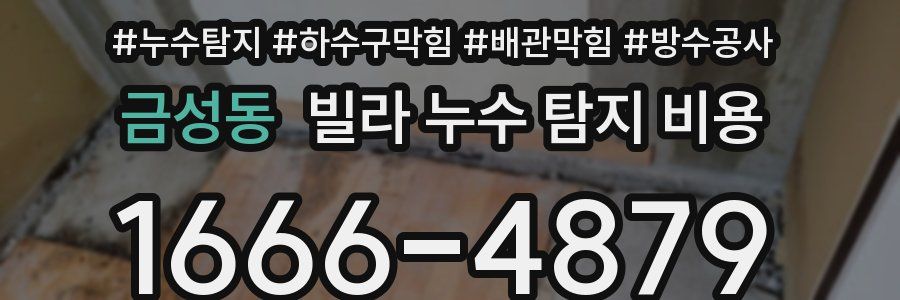 금성동 빌라 누수 탐지 비용