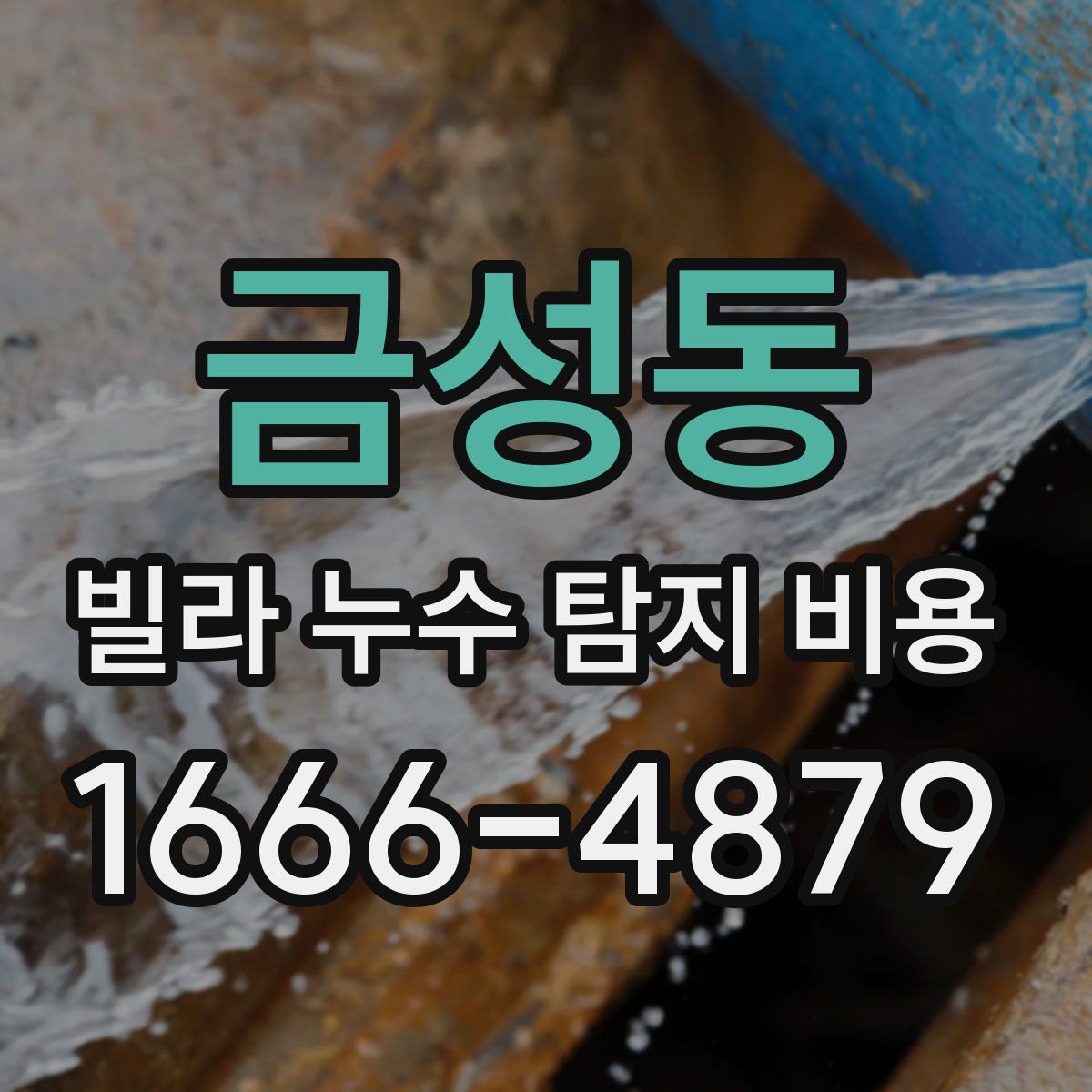 금성동 빌라 누수 탐지 비용