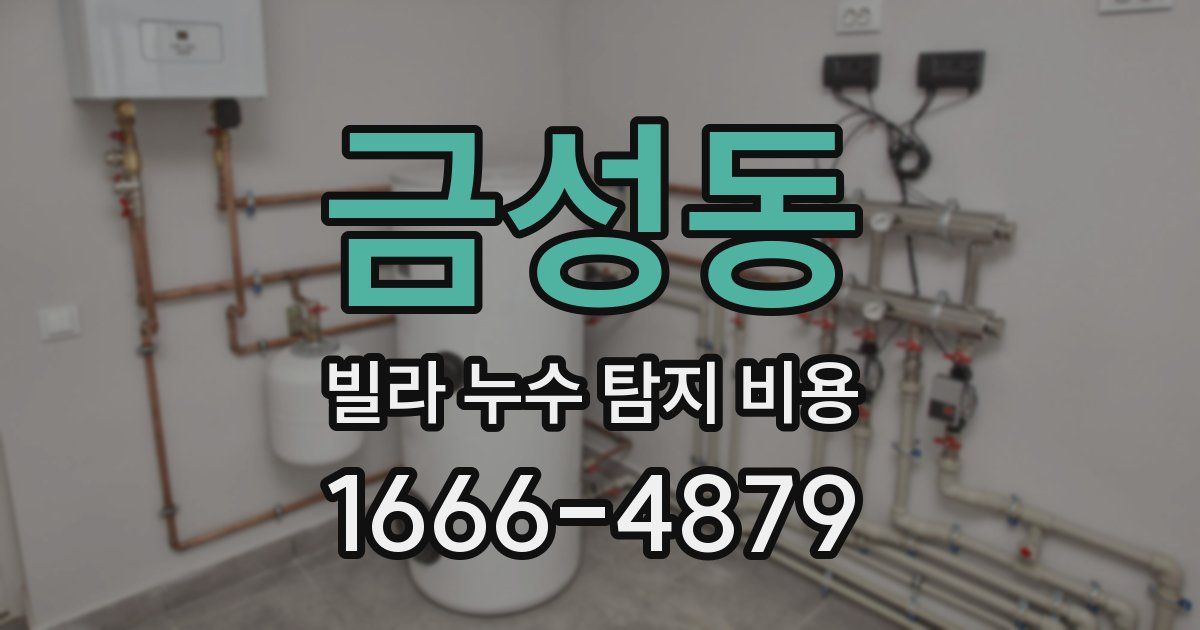 금성동 빌라 누수 탐지 비용