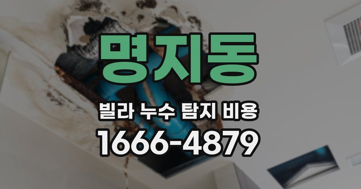명지동 빌라 누수 탐지 비용