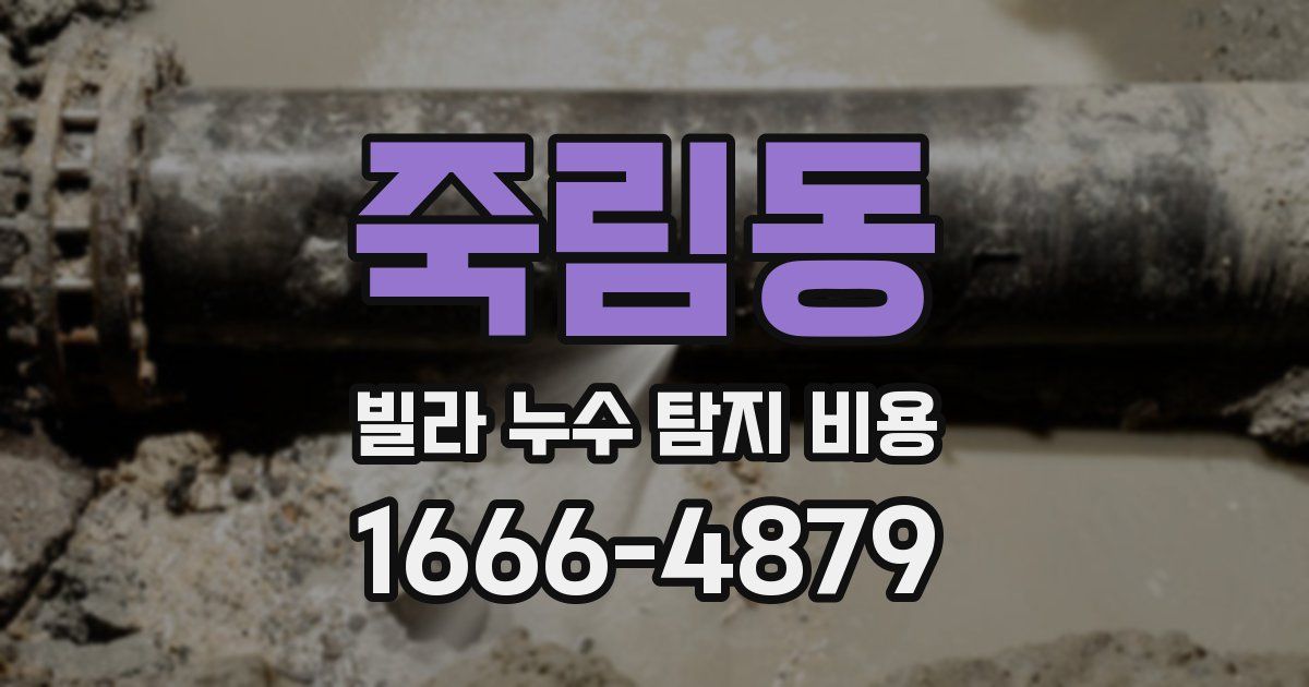 죽림동 빌라 누수 탐지 비용