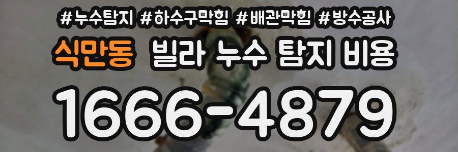 식만동 빌라 누수 탐지 비용