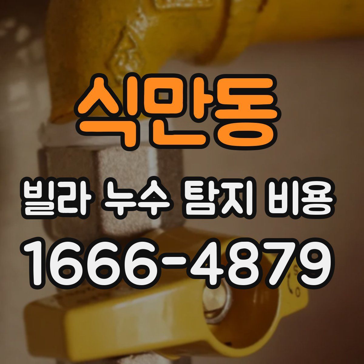 식만동 빌라 누수 탐지 비용