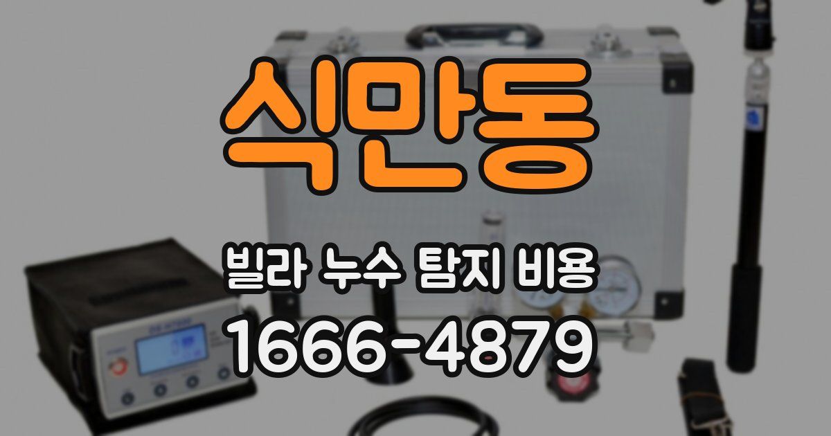 식만동 빌라 누수 탐지 비용