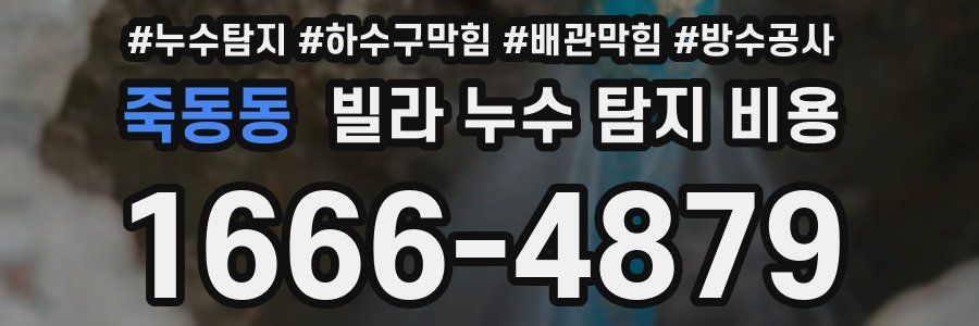 죽동동 빌라 누수 탐지 비용