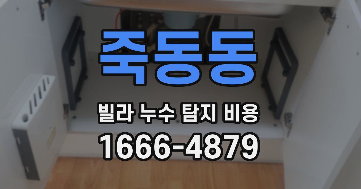 죽동동 빌라 누수 탐지 비용