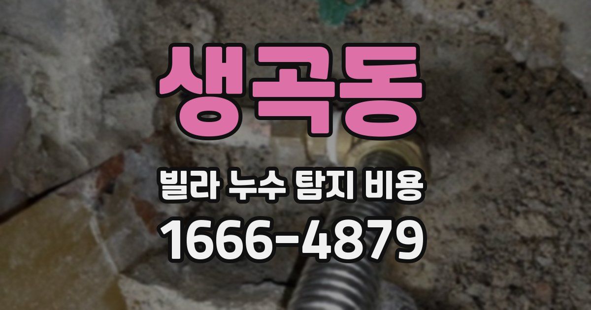 생곡동 빌라 누수 탐지 비용