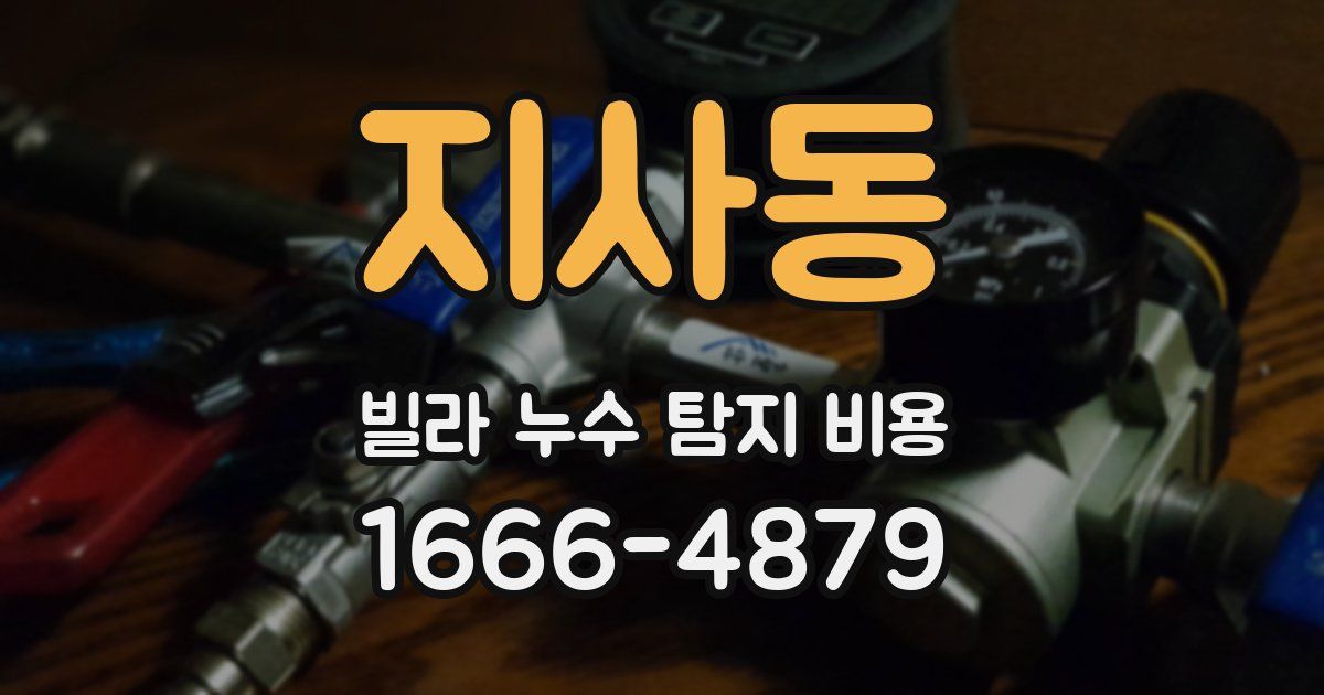 지사동 빌라 누수 탐지 비용
