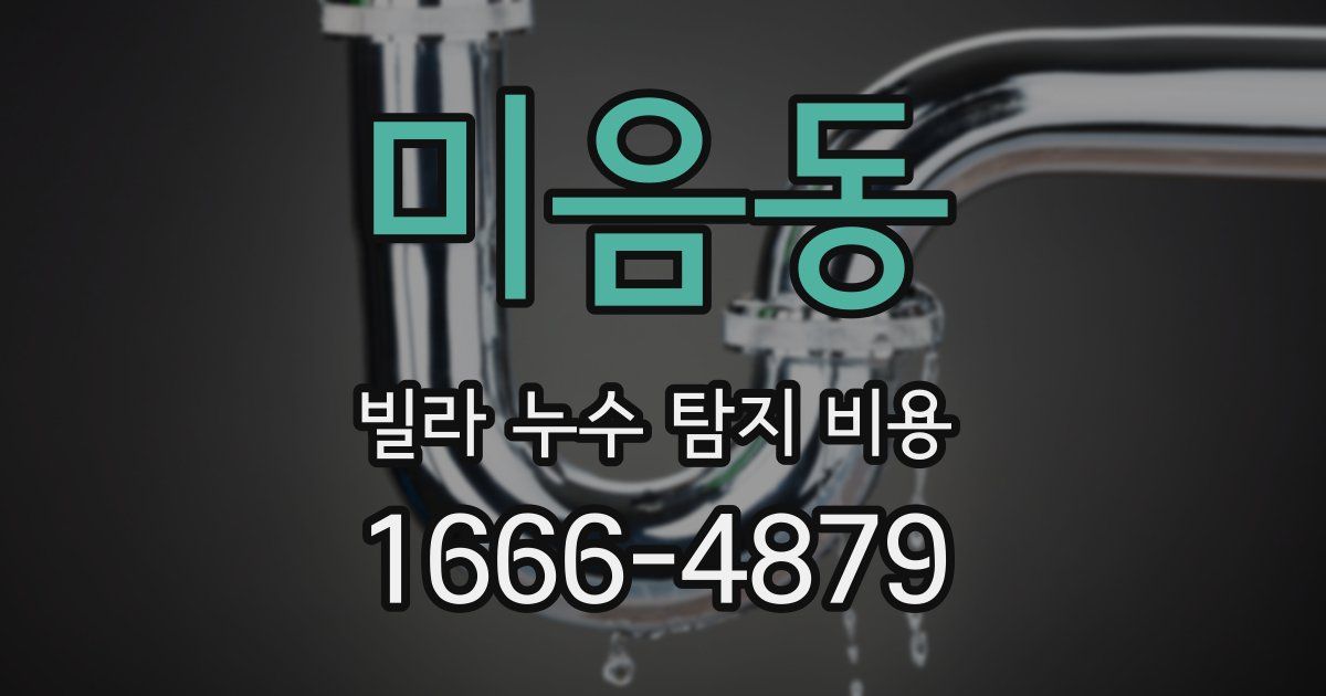 미음동 빌라 누수 탐지 비용