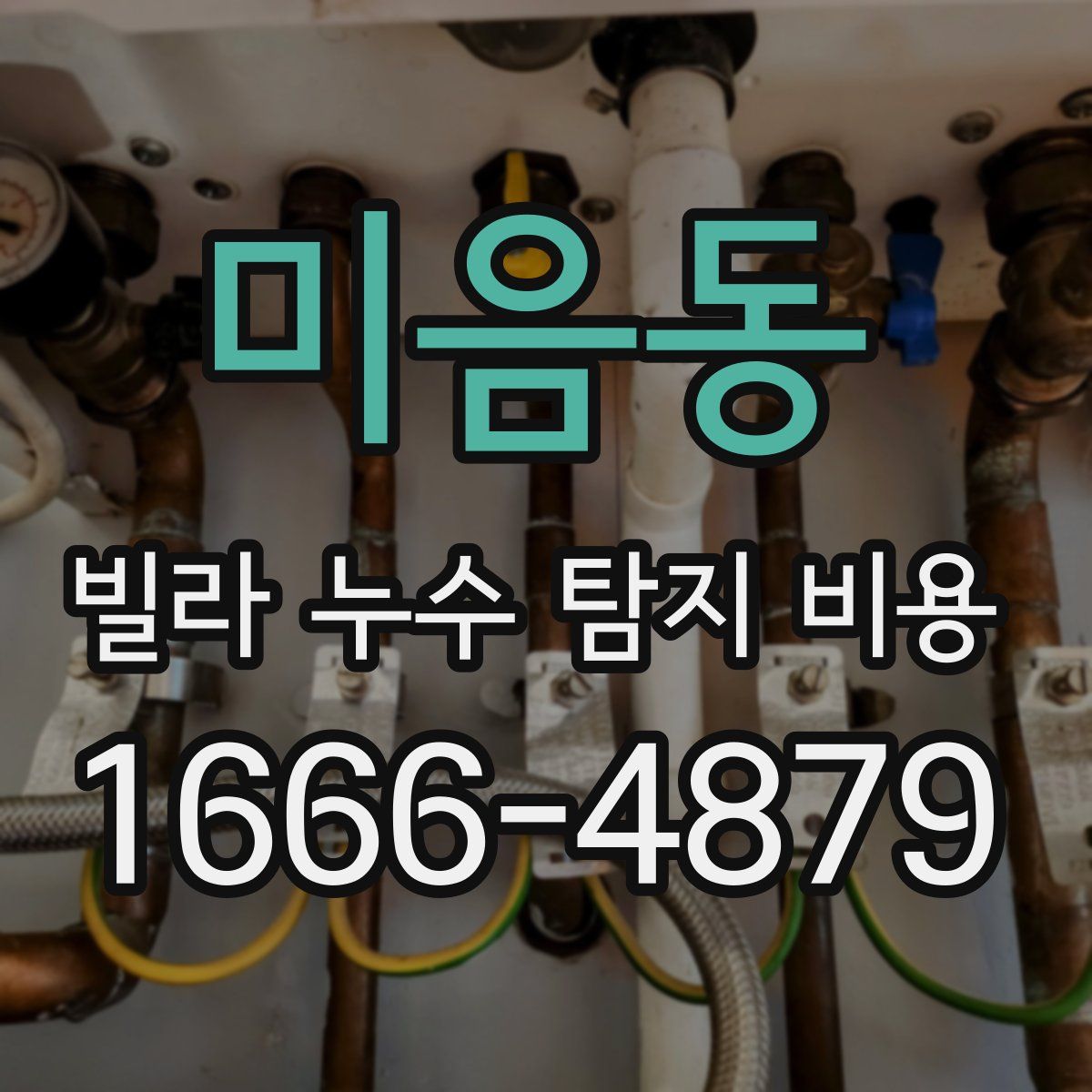 미음동 빌라 누수 탐지 비용