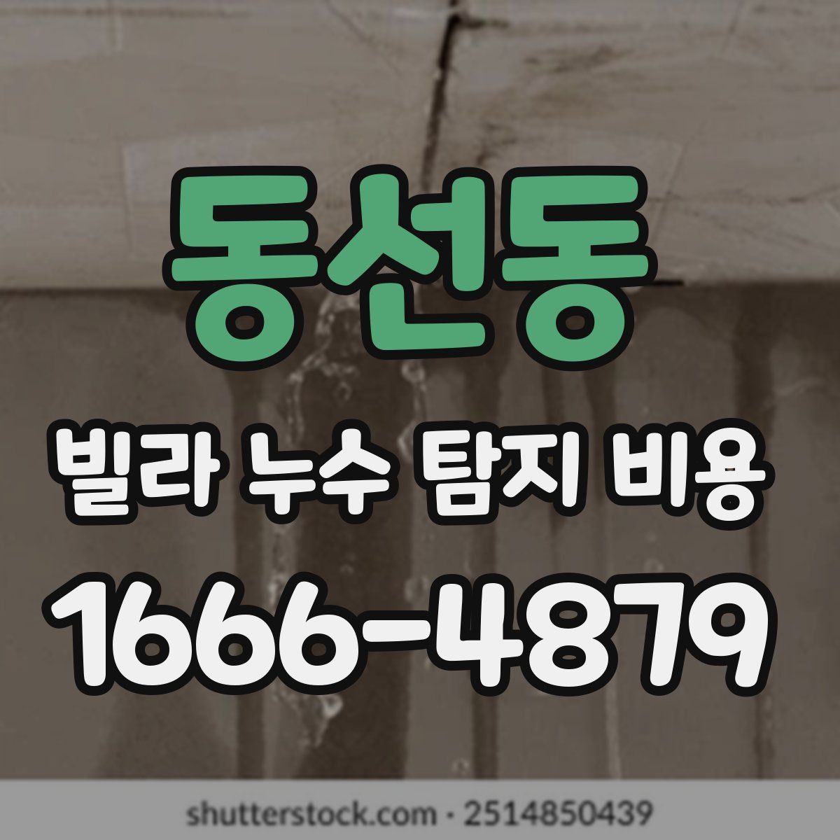 동선동 빌라 누수 탐지 비용