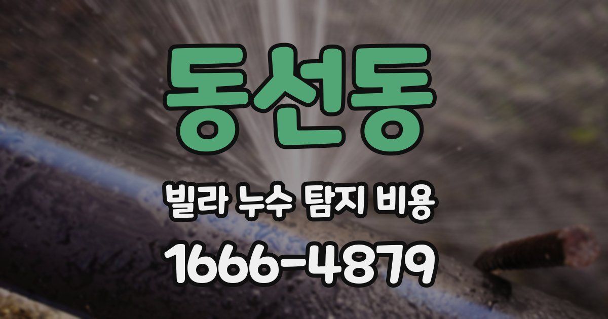 동선동 빌라 누수 탐지 비용