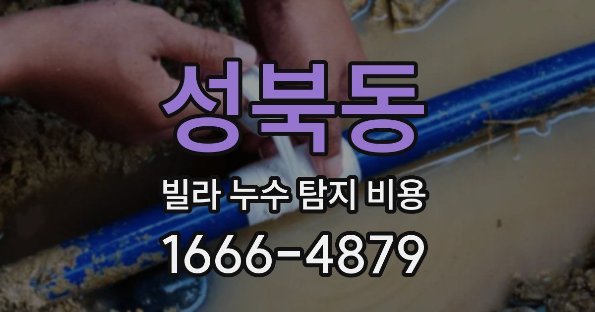 성북동 빌라 누수 탐지 비용