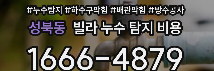 성북동 빌라 누수 탐지 비용