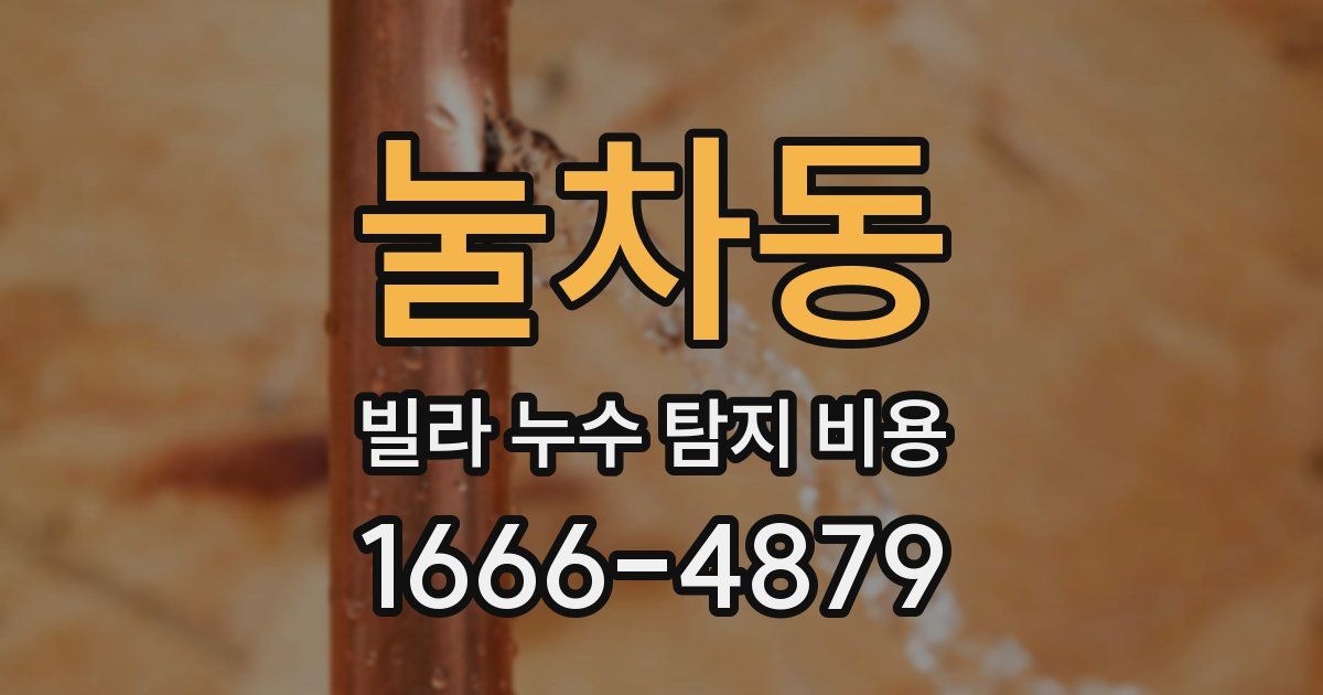 눌차동 빌라 누수 탐지 비용