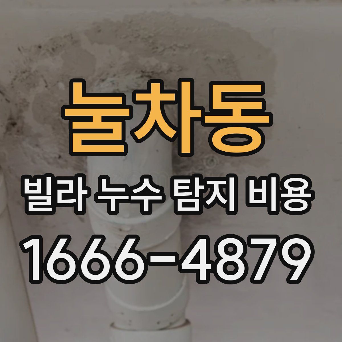 눌차동 빌라 누수 탐지 비용